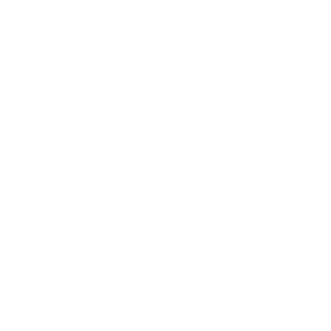 Dog Jogging