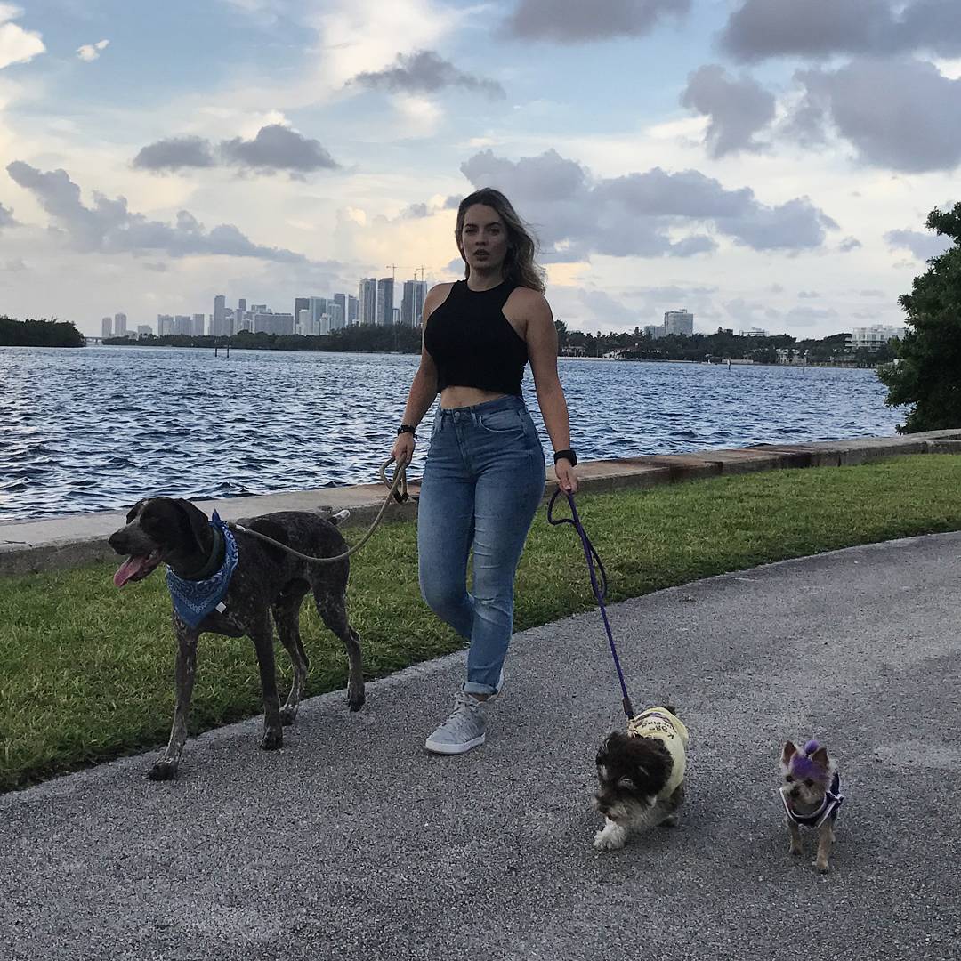 Dog Walking
