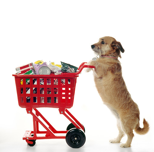 Supply Delivery - Small Order (1-3 items)